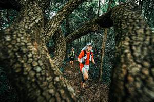 BIB: 
                            <button type="button" onclick="openModal(25393562)" class="btn btn-primary btn-sm float-right btn-popup" data-toggle="modal" data-target=".modal-high-quality">
                        <i class="fas fa-shopping-cart"></i> Add to Cart
                    </button>
                                            <button type="button" onclick="isThisMe(25393562, true)" class="btn btn-success btn-sm float-right btn-popup btn-isme hidden" data-toggle="tooltip" data-placement="bottom" title="นี่คือรูปของคุณใช่ไหม คลิกที่นี่เพื่อเอาเข้าอัลบั้ม">
                        <i class="fas fa-plus"></i> Add to album
                    </button>
                    <button type="button" onclick="isThisMe(25393562, false)" class="btn btn-warning btn-sm float-right btn-popup btn-isnotme hidden">
                        <i class="fas fa-ban"></i> Remove from album
                    </button>